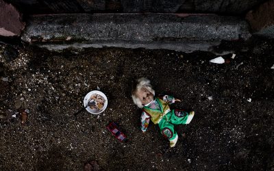 Una imagen, mil palabras,…