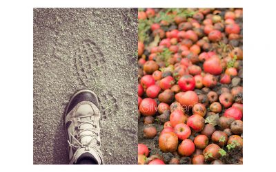 Caminante no hay camino….